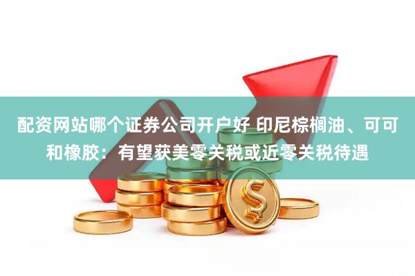 配资网站哪个证券公司开户好 印尼棕榈油、可可和橡胶：有望获美零关税或近零关税待遇